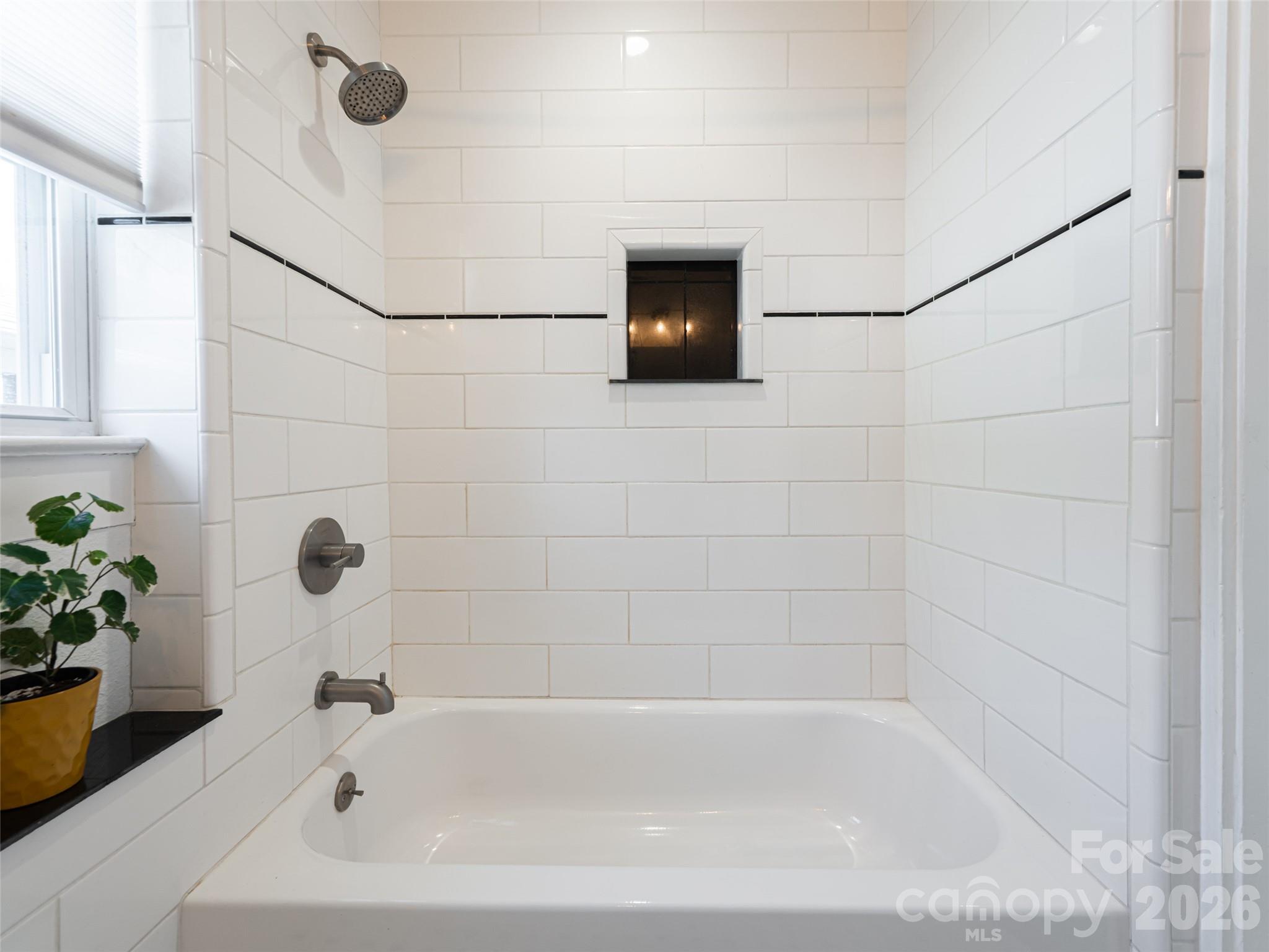 45 Olive Street Asheville NC 28801