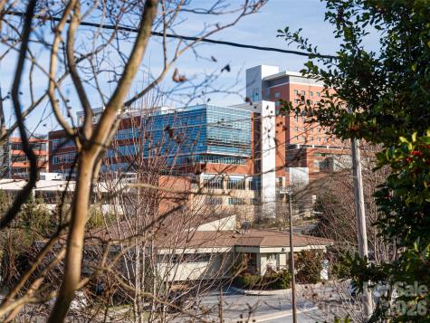 45 Olive Street Asheville NC 28801