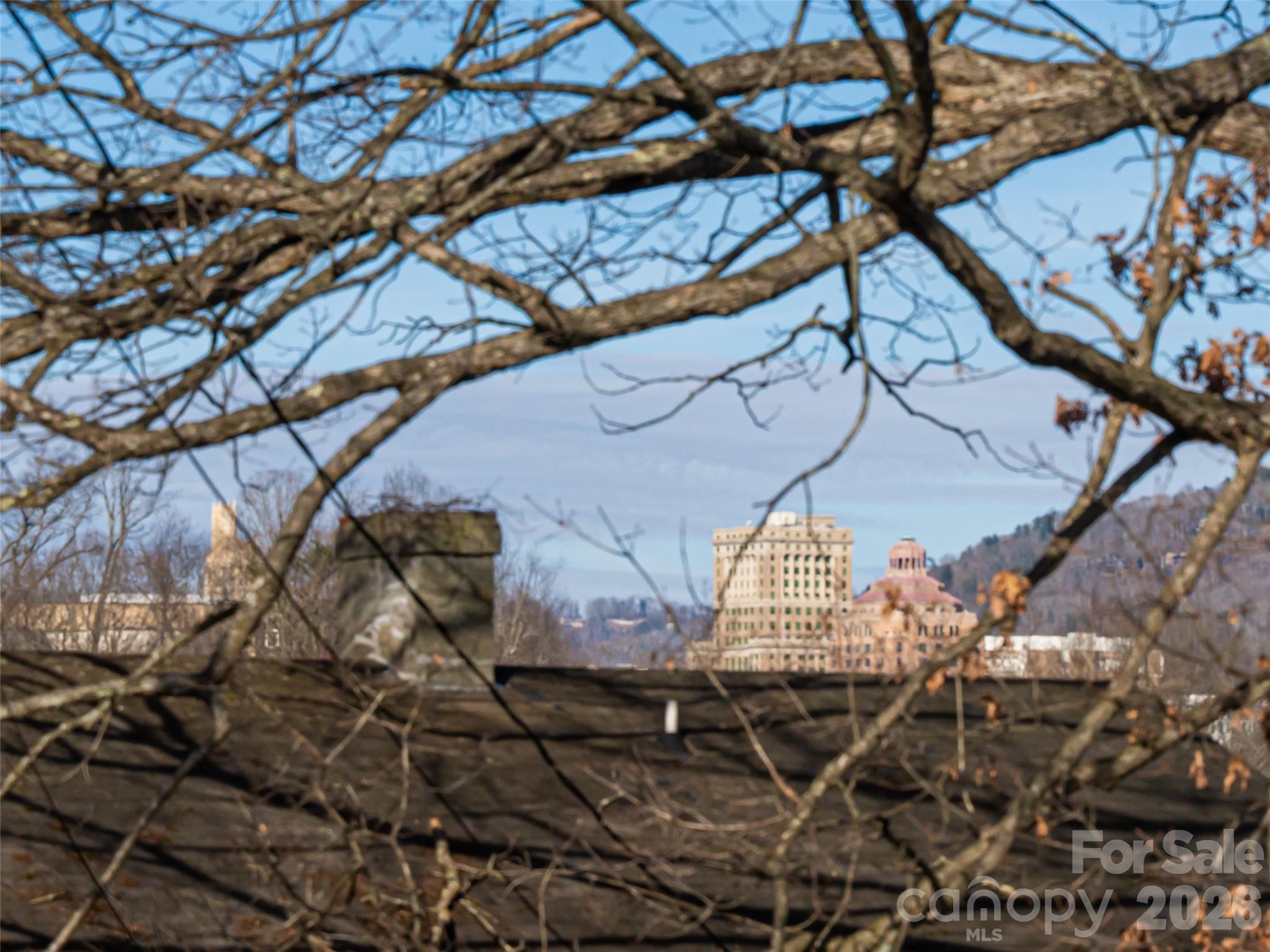 45 Olive Street Asheville NC 28801