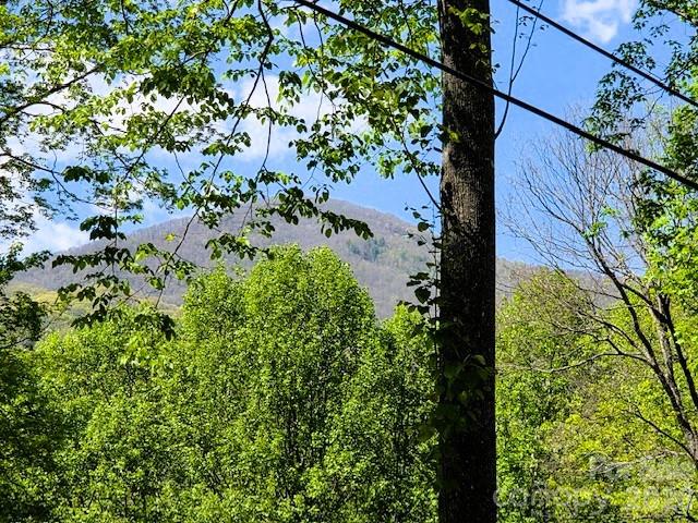 191 Forest Drive Maggie Valley NC 28751