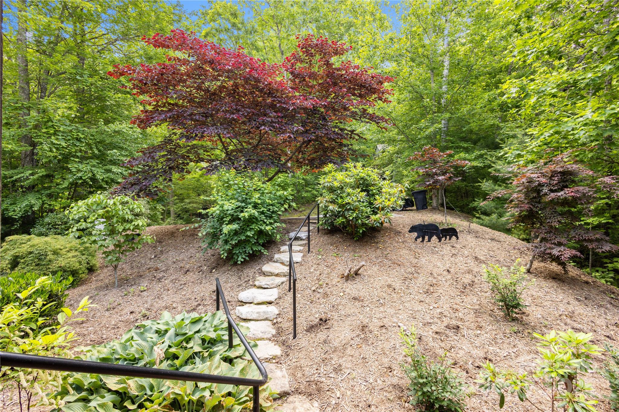 172 Juneberry Lane Tuckasegee NC 28783