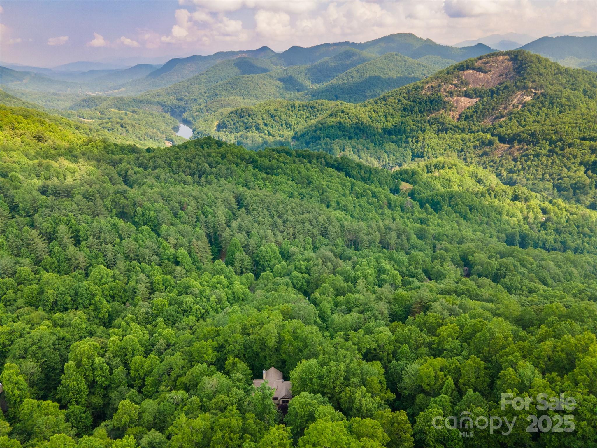 172 Juneberry Lane Tuckasegee NC 28783