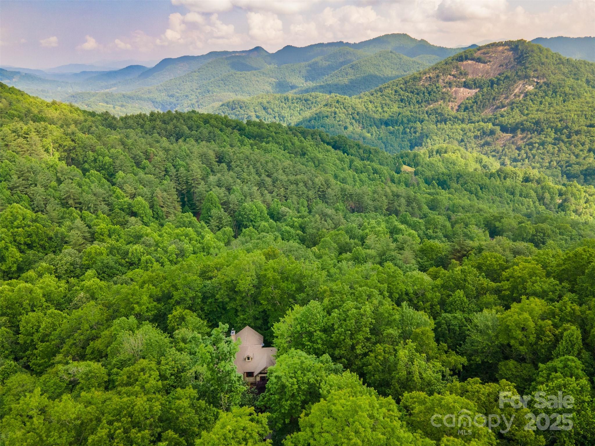 172 Juneberry Lane Tuckasegee NC 28783