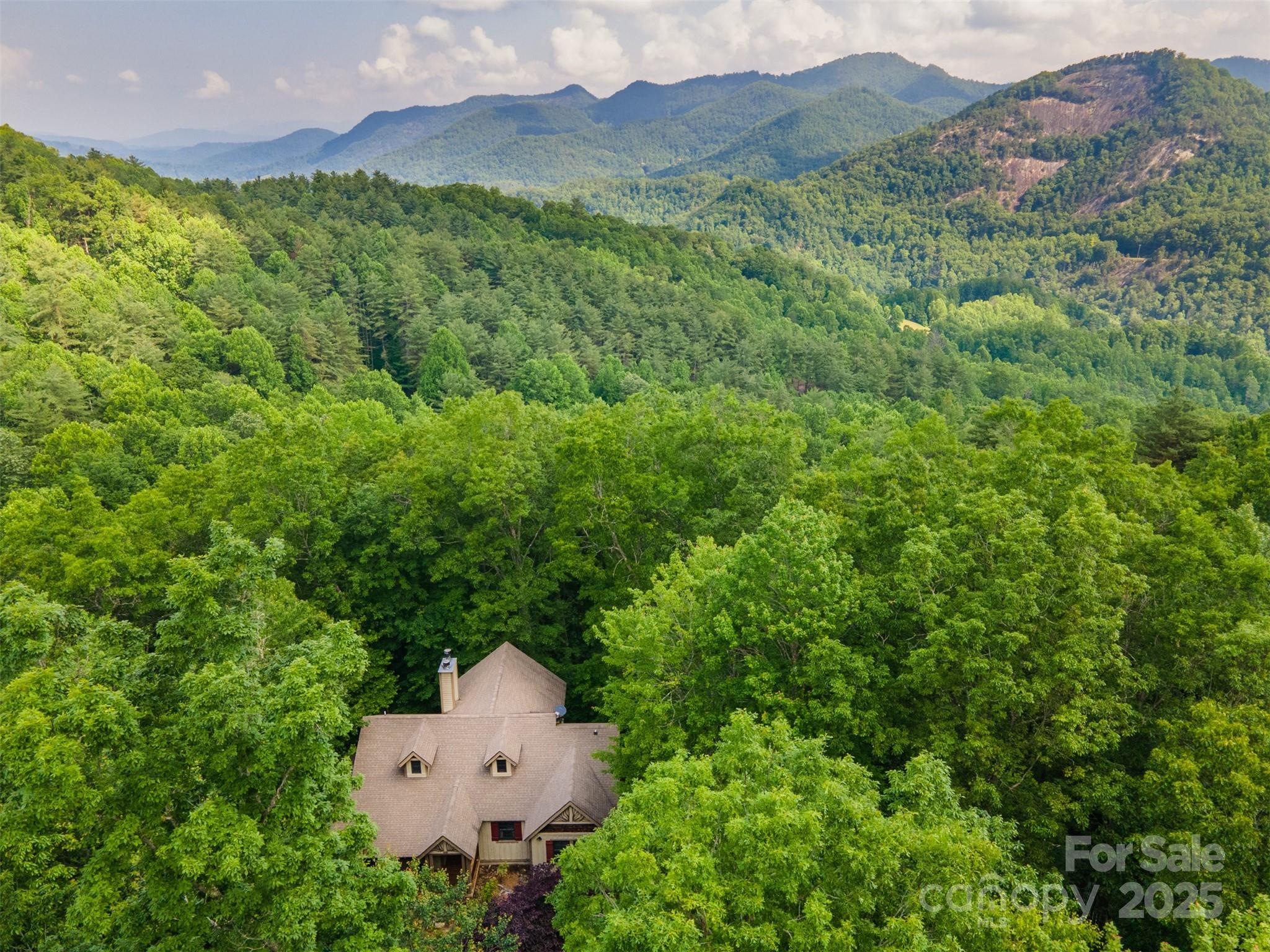 172 Juneberry Lane Tuckasegee NC 28783