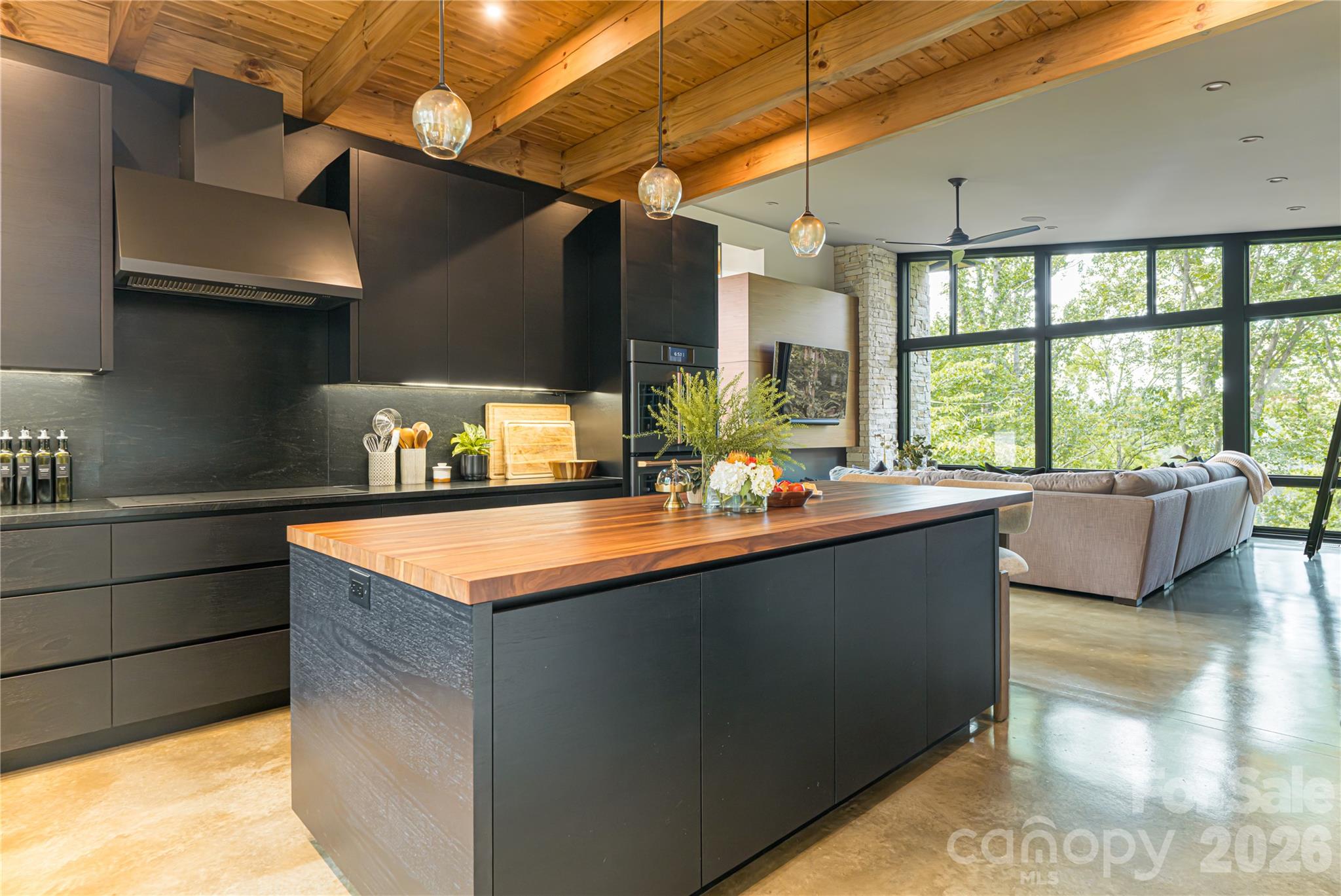 13 Tulip Poplar Trail Asheville NC 28804