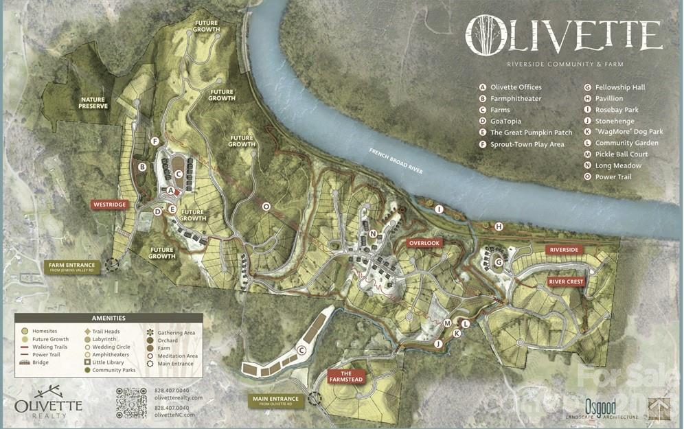 13 Tulip Poplar Trail Asheville NC 28804