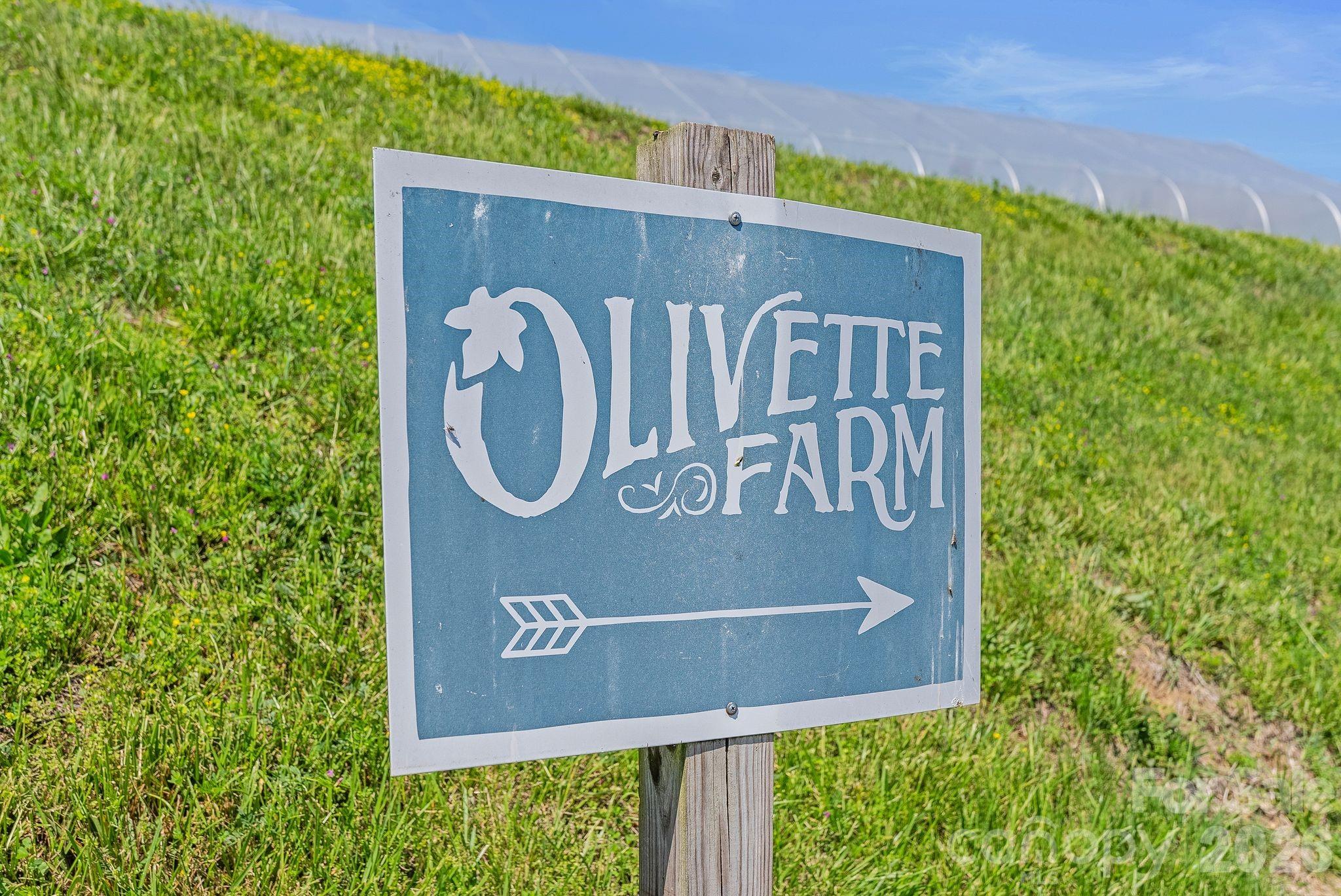 13 Tulip Poplar Trail Asheville NC 28804