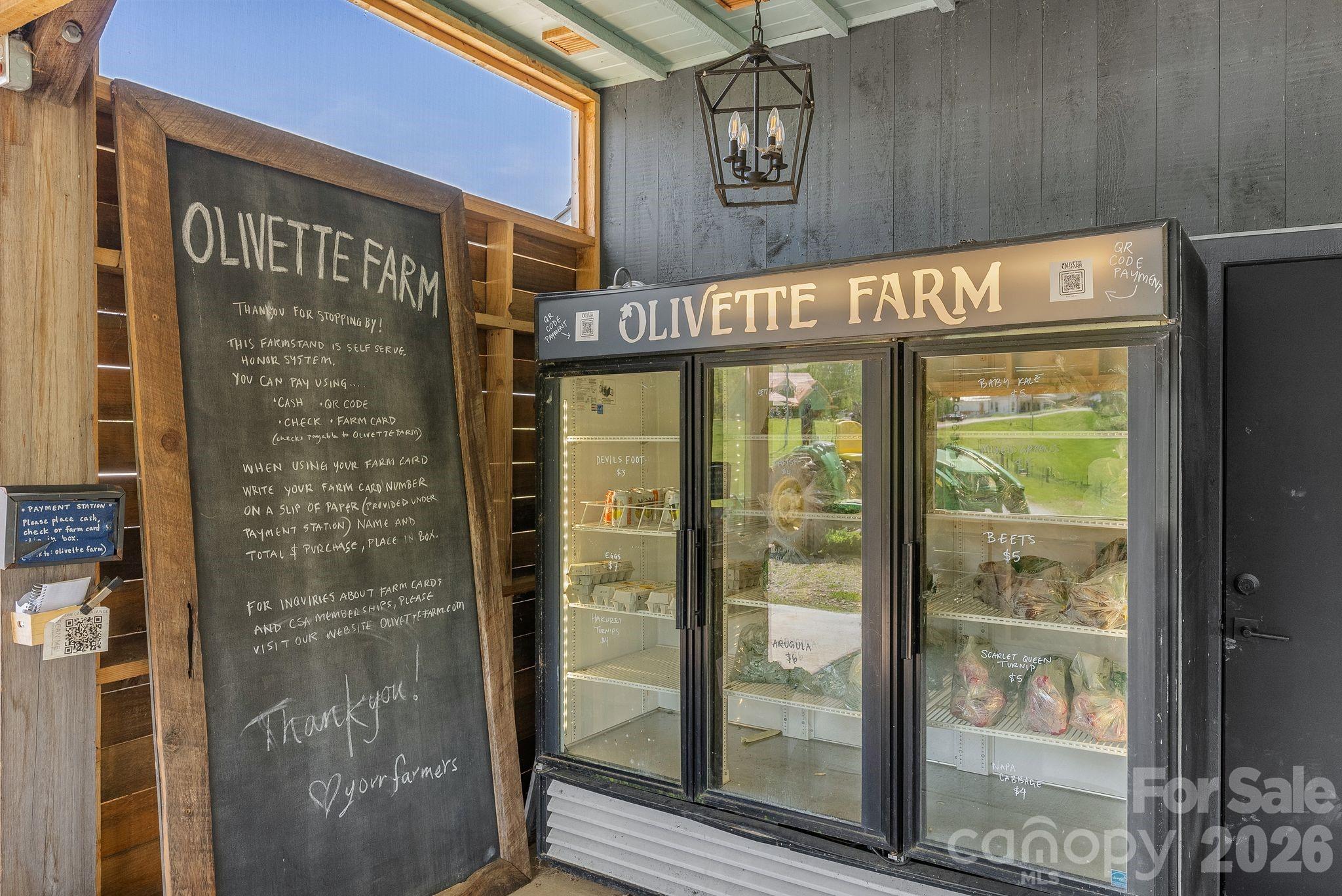 13 Tulip Poplar Trail Asheville NC 28804