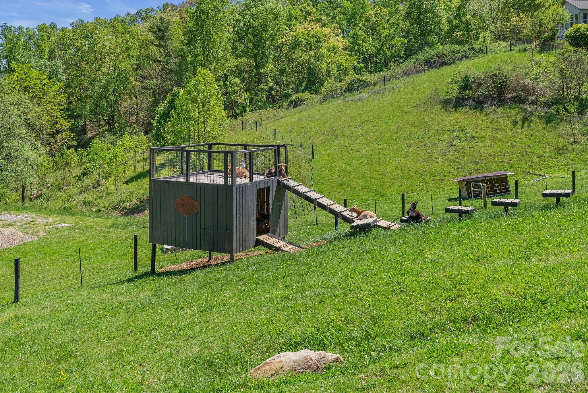 13 Tulip Poplar Trail Asheville NC 28804