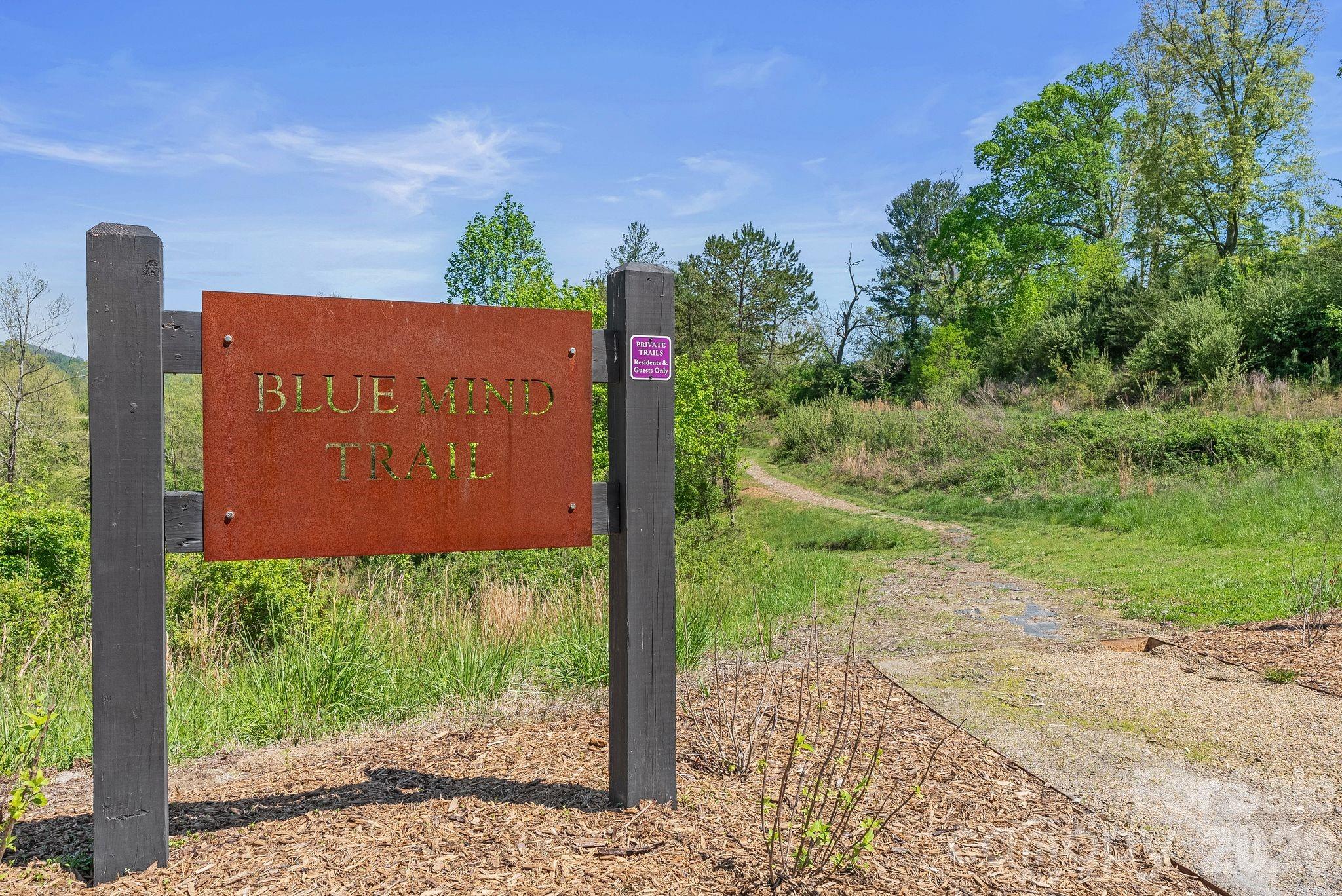 13 Tulip Poplar Trail Asheville NC 28804