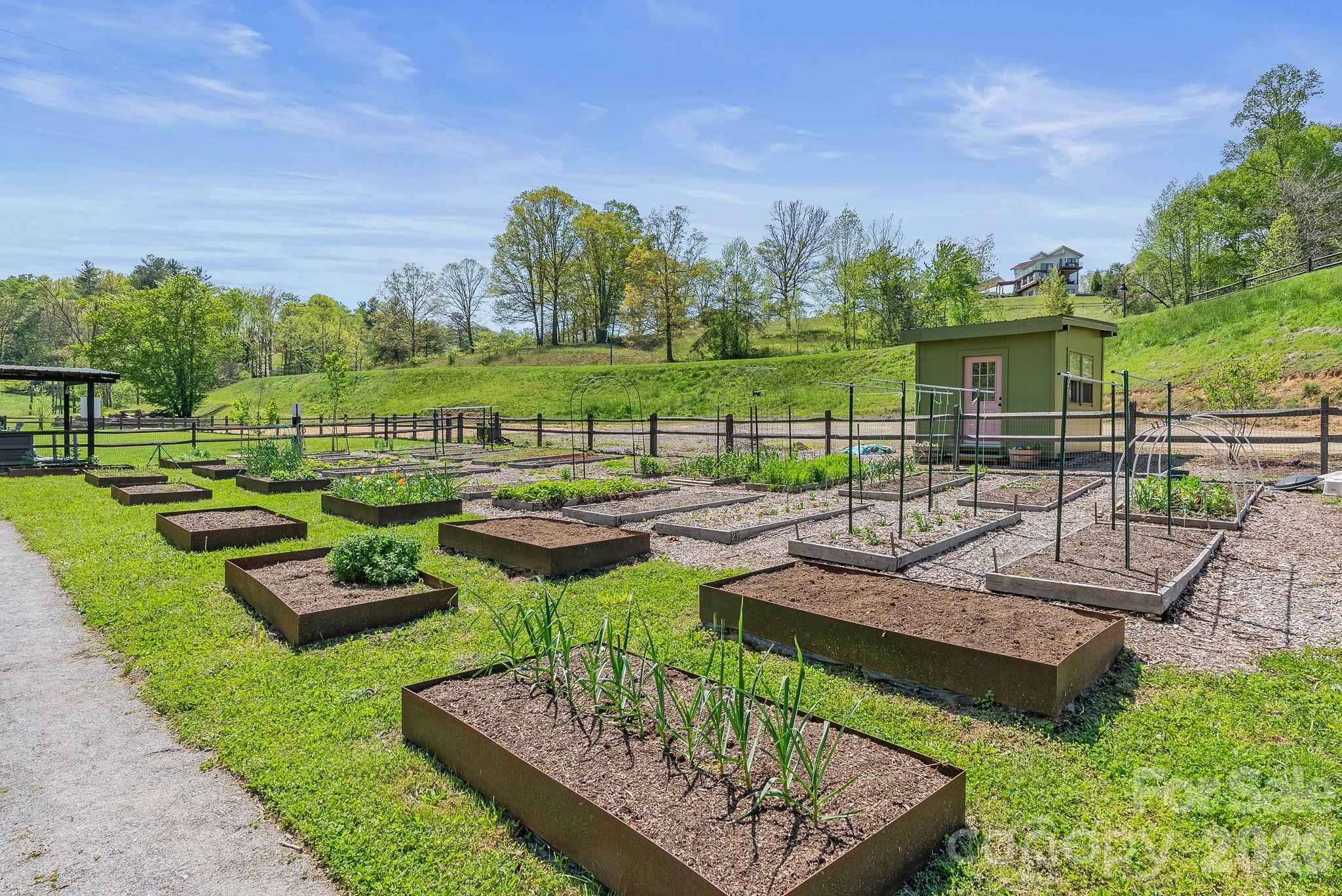 13 Tulip Poplar Trail Asheville NC 28804