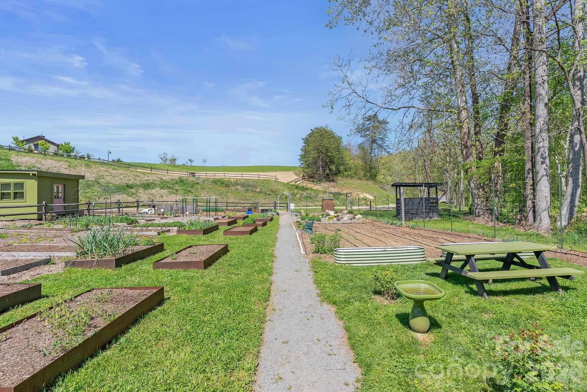 13 Tulip Poplar Trail Asheville NC 28804