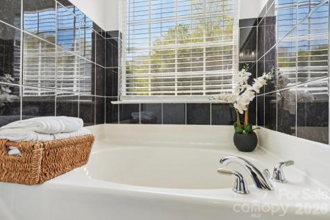 13317 Emerald Branch Lane Charlotte NC 28273