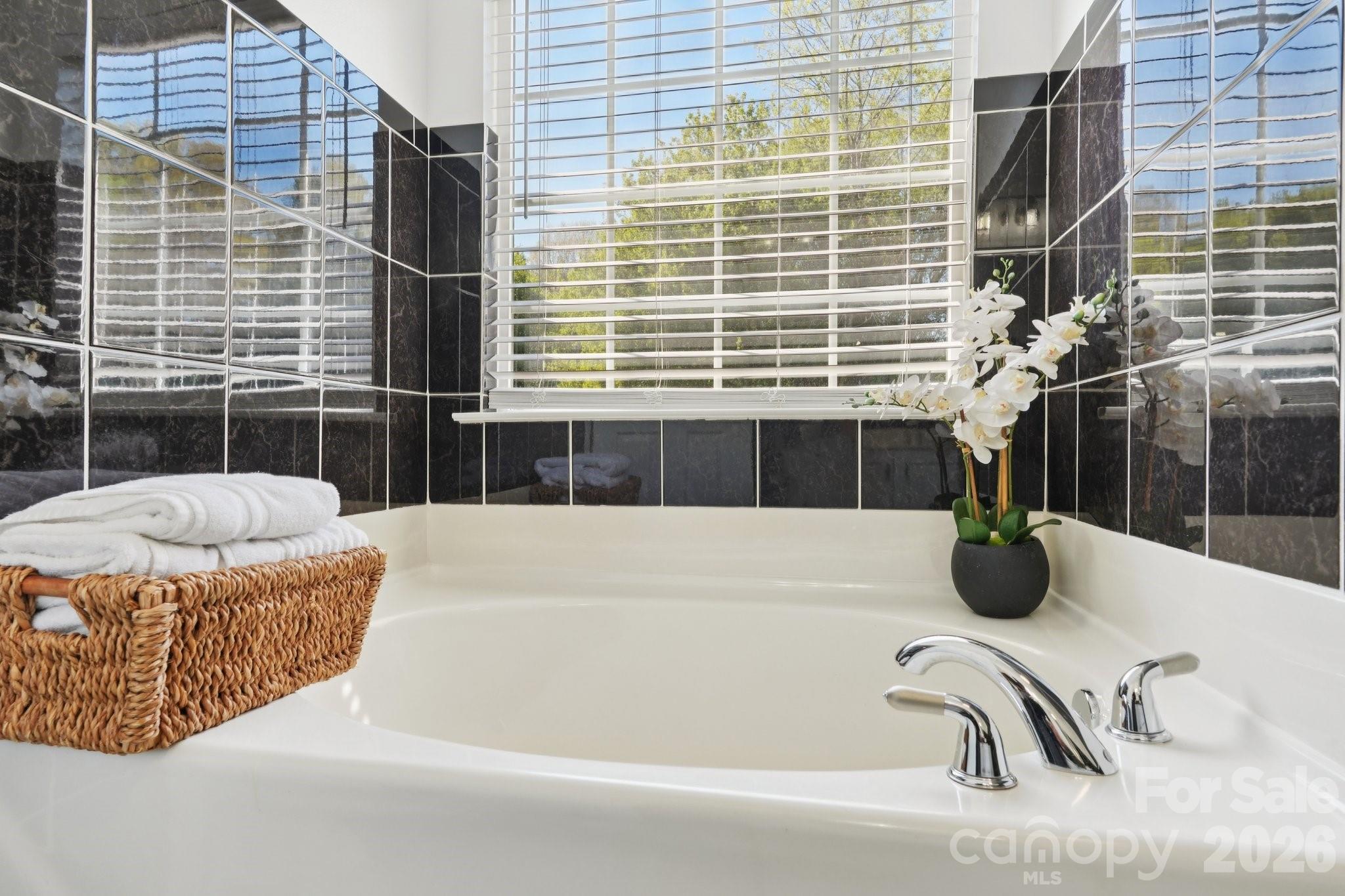 13317 Emerald Branch Lane Charlotte NC 28273