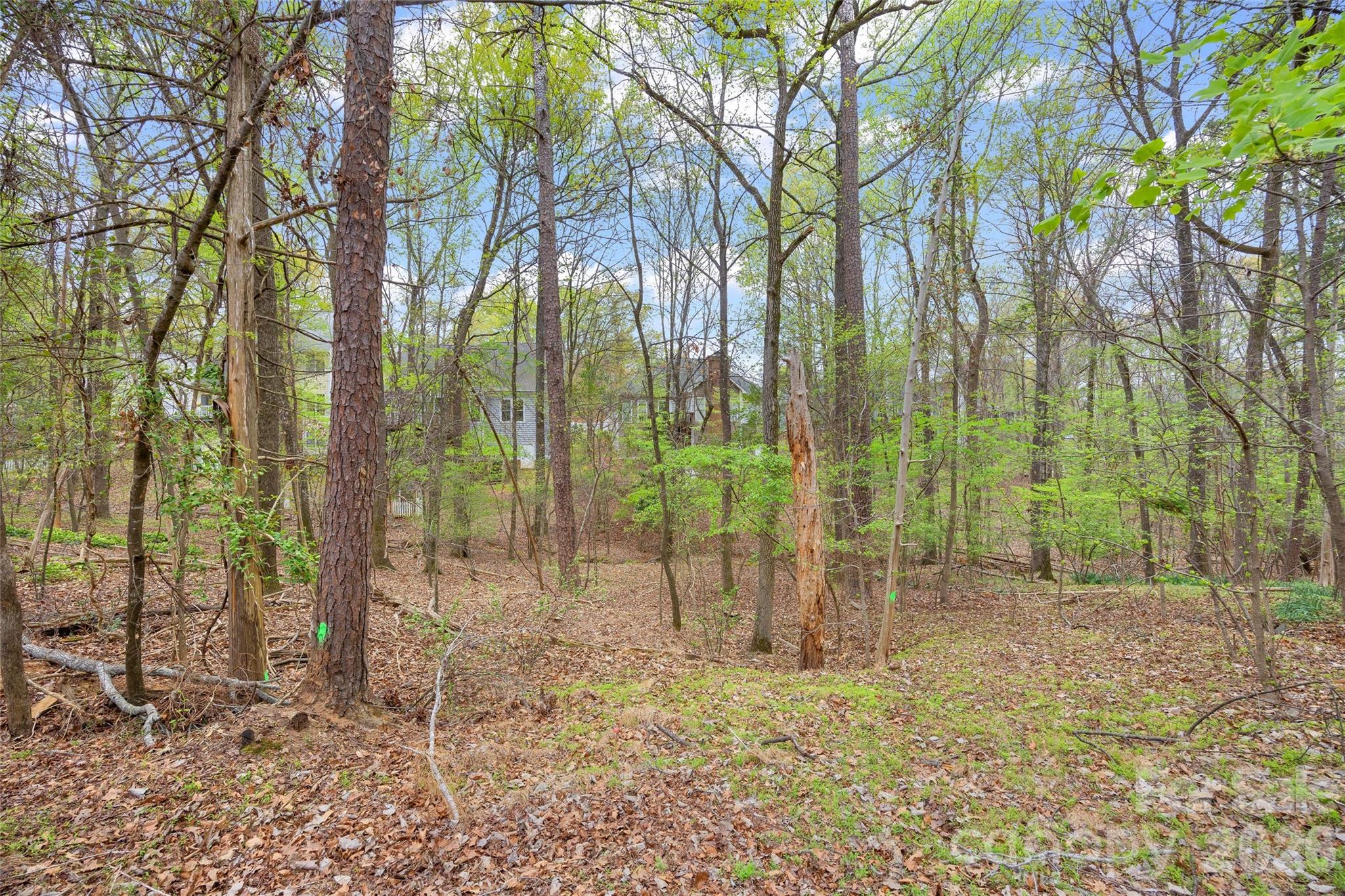 5904 Chalyce Lane Charlotte NC 28270