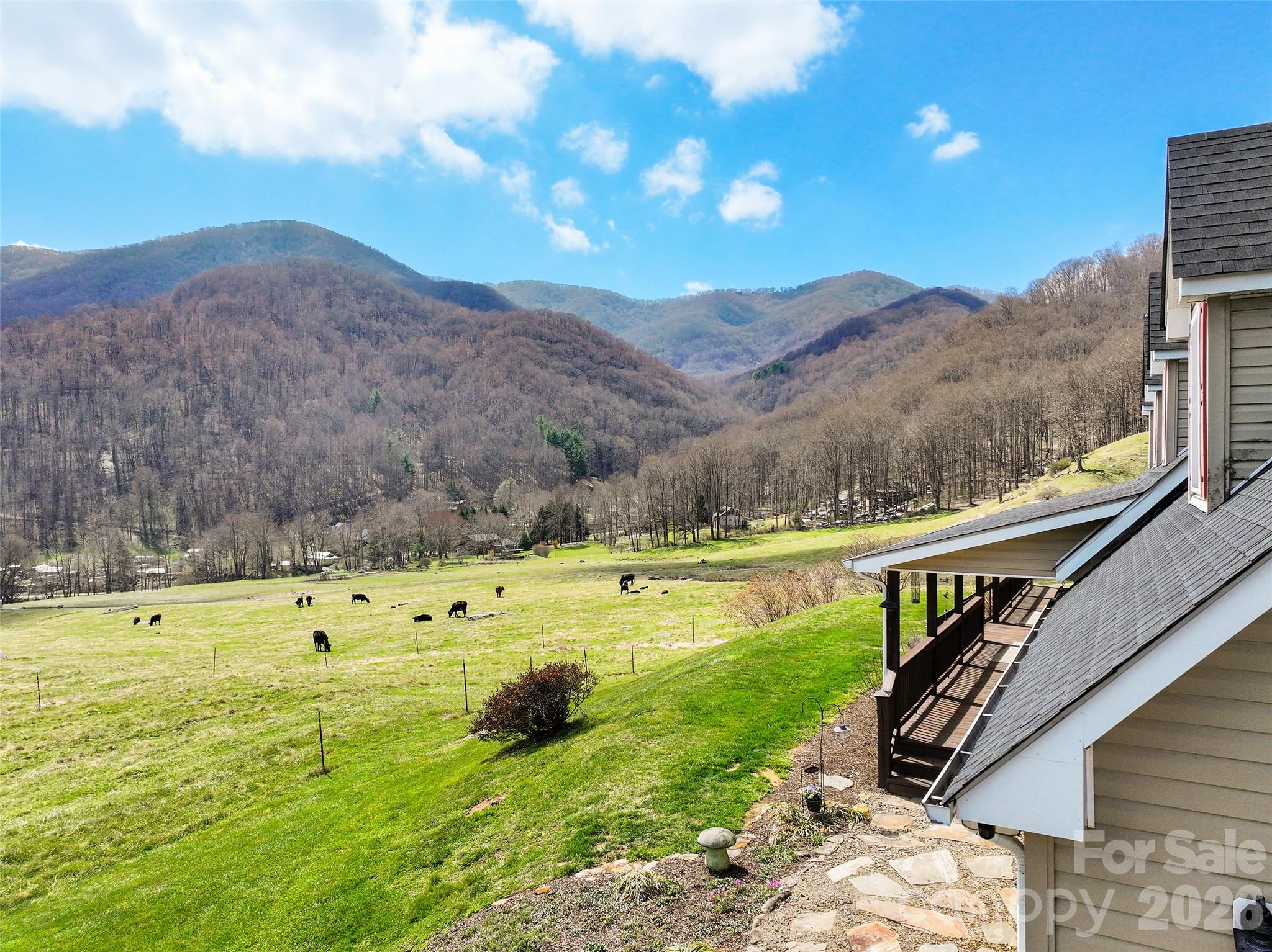 371 Ned Cove Road Waynesville NC 28785