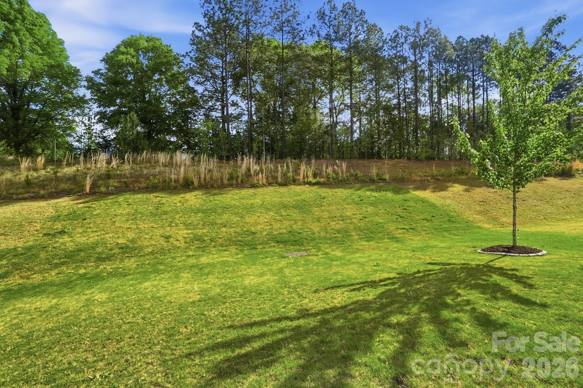 116 Timbergreen Court Troutman NC 28166