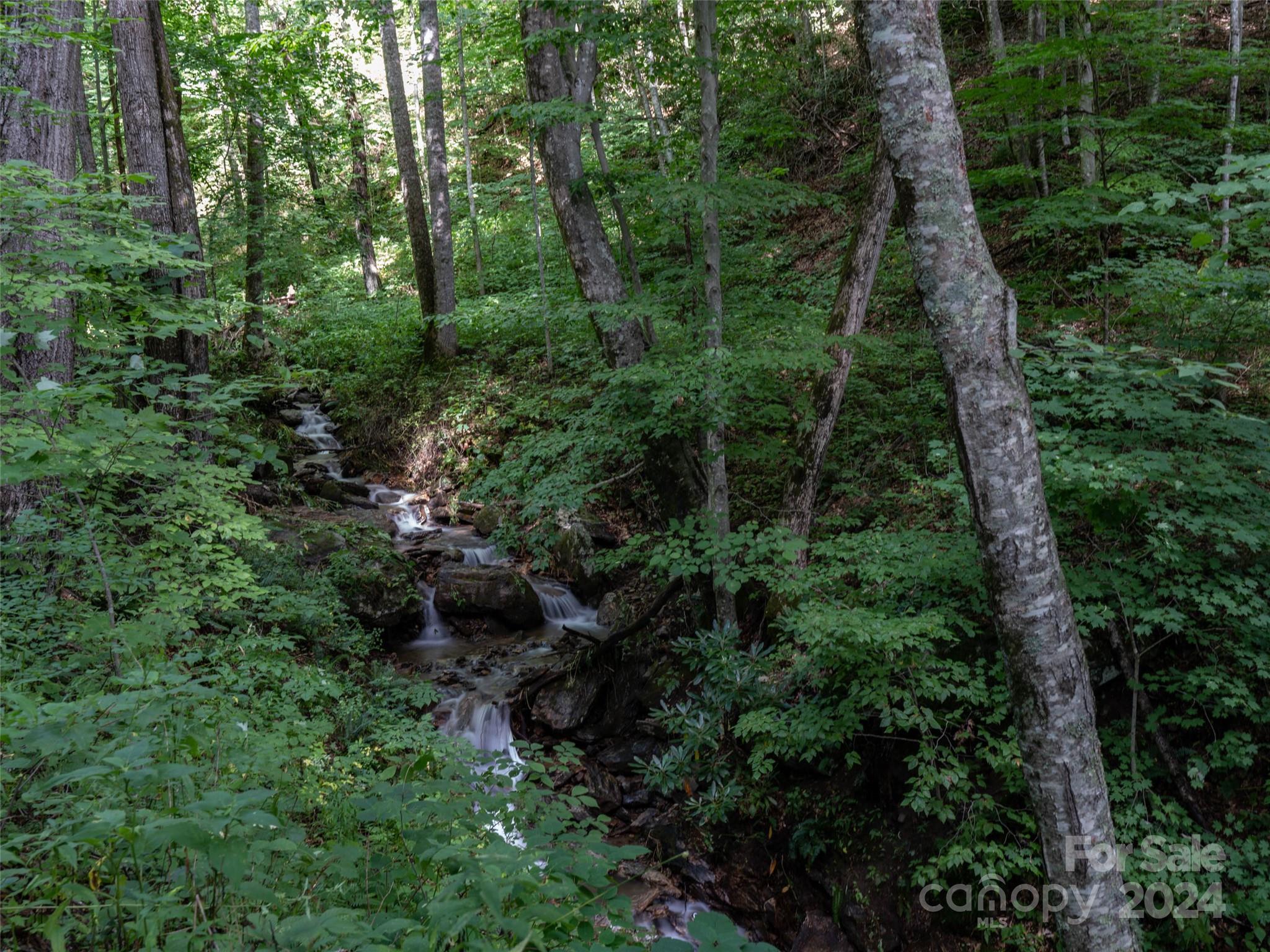 1001 Mountain Glen Road Canton NC 28716