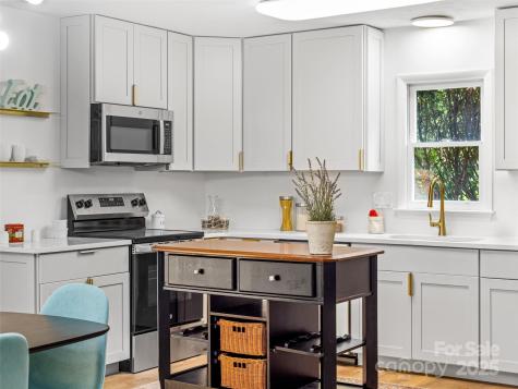3 Acorn Road Asheville NC 28804