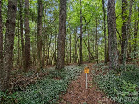 36 Auburndale Drive Asheville NC 28806