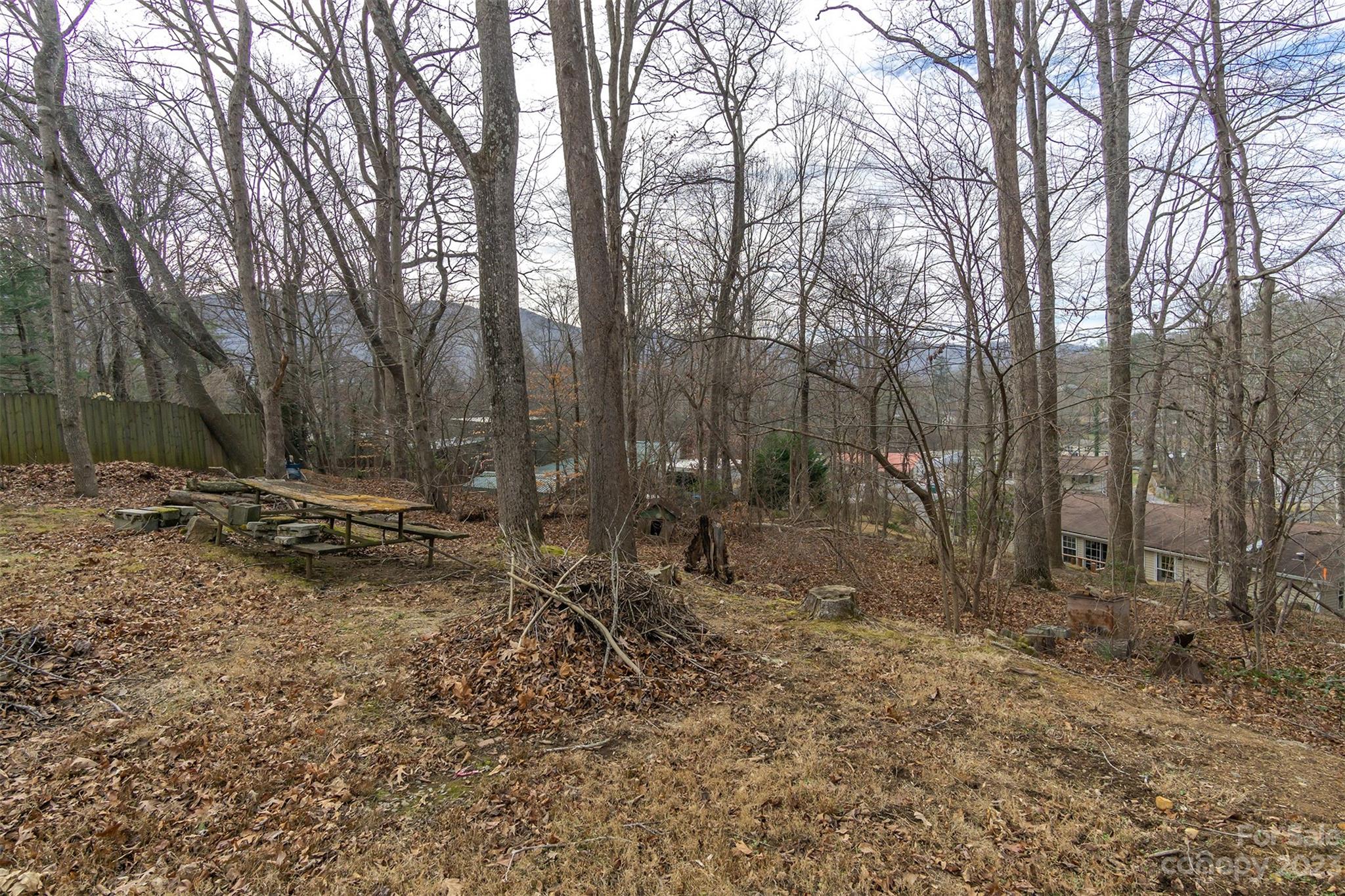 113 Dellwood Avenue Swannanoa NC 28778