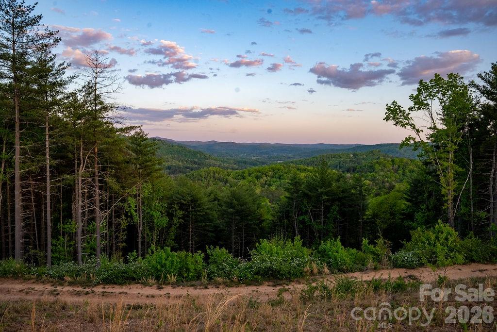 4454 Asheville Highway Pisgah Forest NC 28768