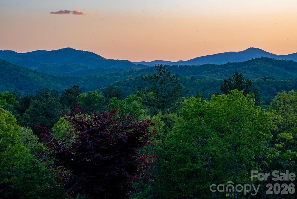 4454 Asheville Highway Pisgah Forest NC 28768