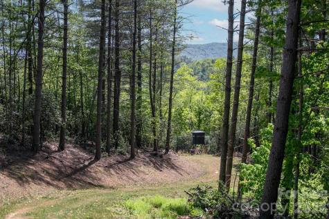 4454 Asheville Highway Pisgah Forest NC 28768