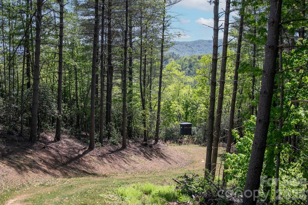4454 Asheville Highway Pisgah Forest NC 28768