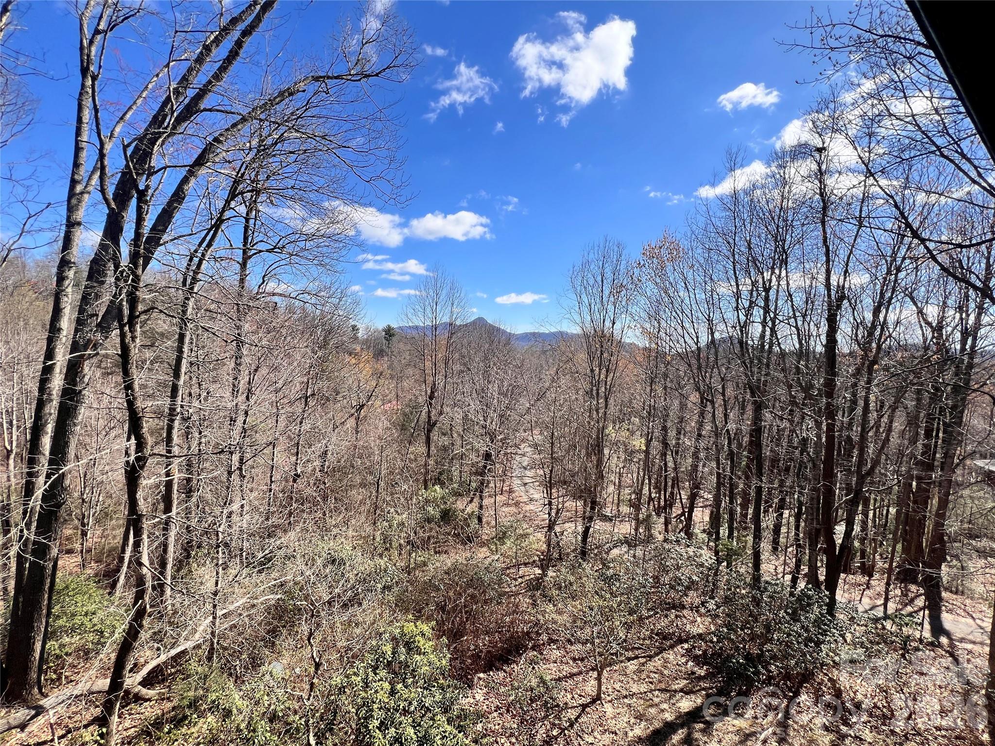212 Glen Echo Circle Saluda NC 28773