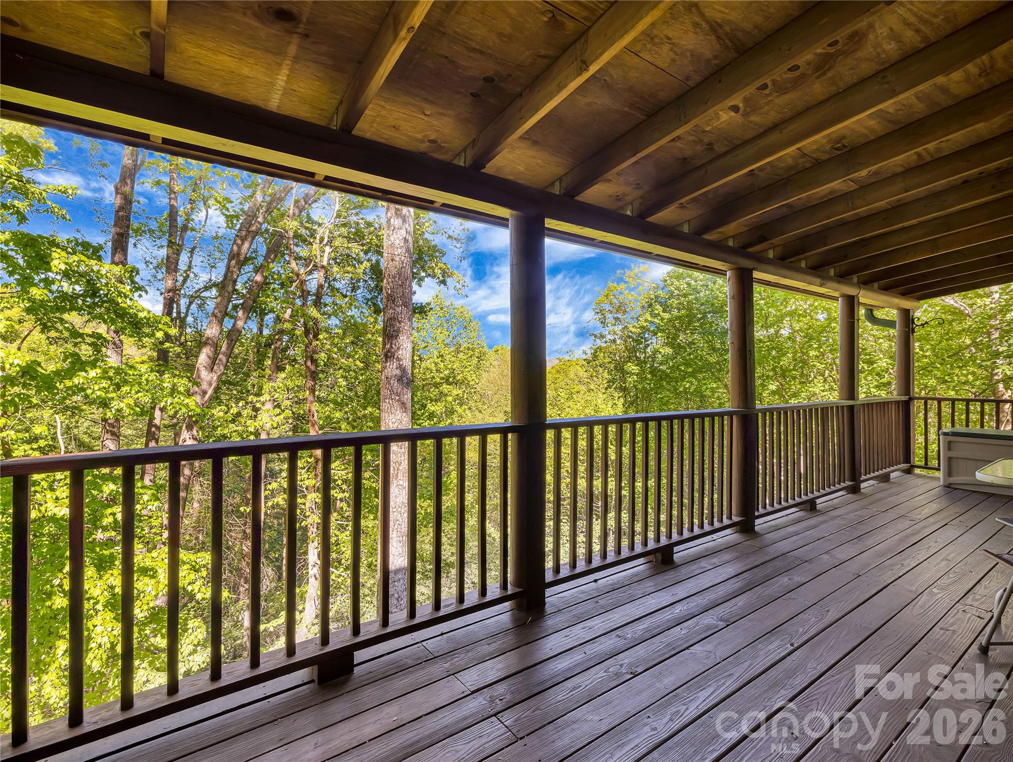 212 Glen Echo Circle Saluda NC 28773