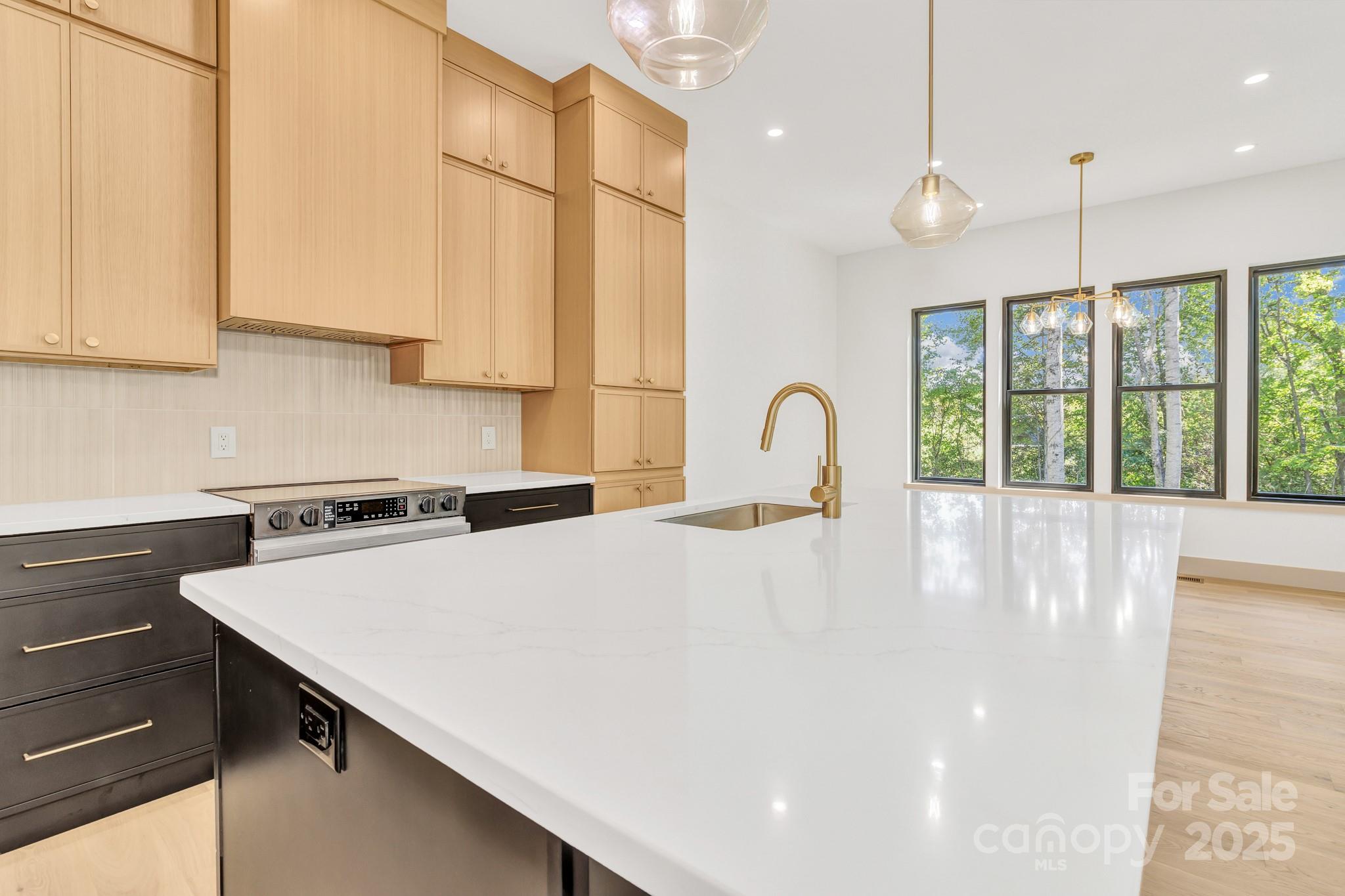 27 Baxter Woods Lane Candler NC 28715