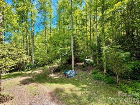 175 Cougar Lane Whittier NC 28789