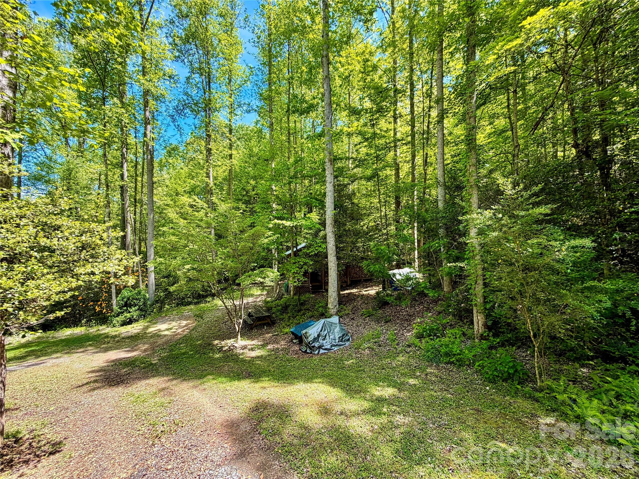 175 Cougar Lane Whittier NC 28789