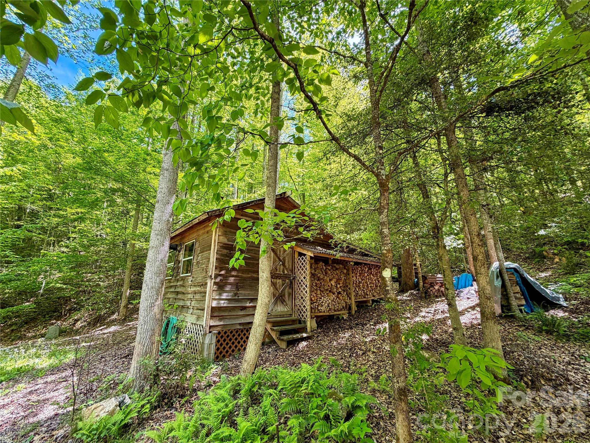 175 Cougar Lane Whittier NC 28789