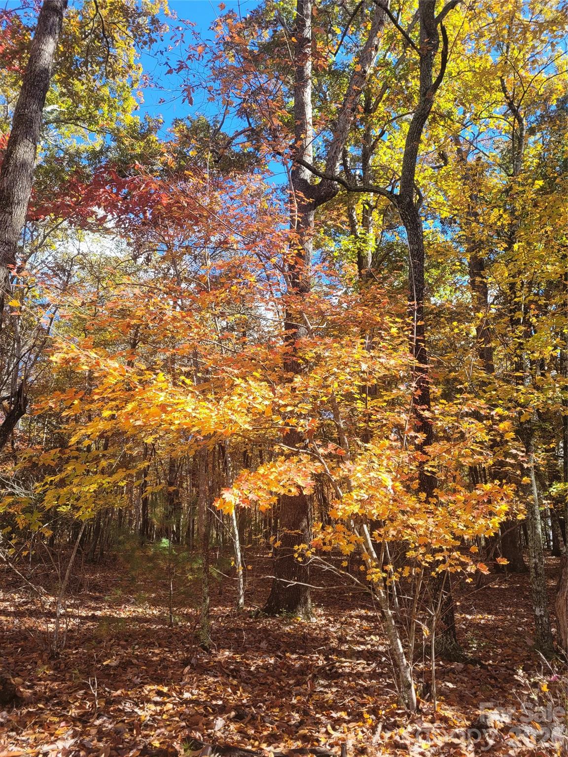 160 Winsome Forest Drive Nebo NC 28761