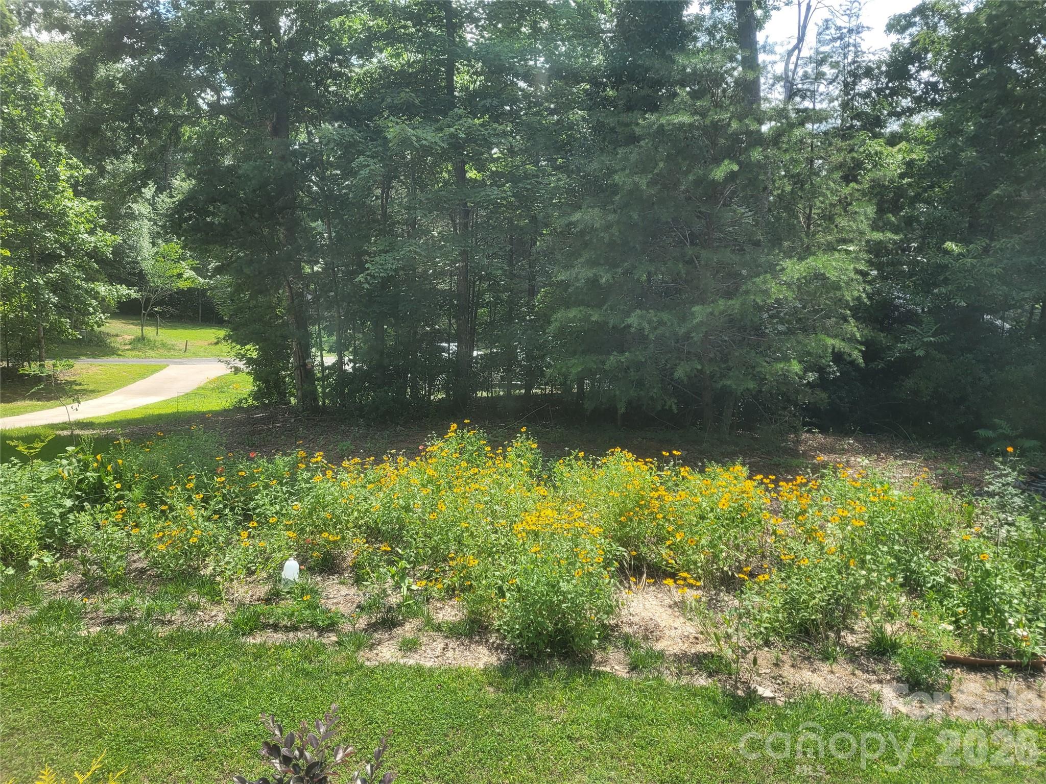 160 Winsome Forest Drive Nebo NC 28761