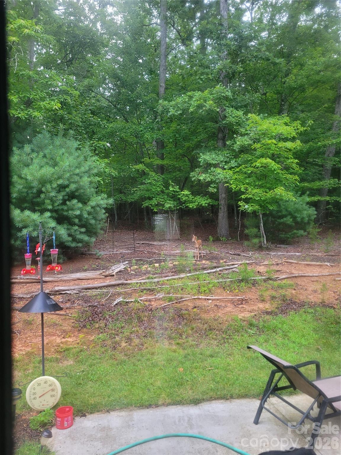 160 Winsome Forest Drive Nebo NC 28761