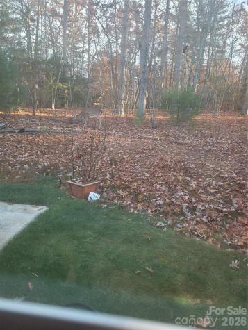 160 Winsome Forest Drive Nebo NC 28761
