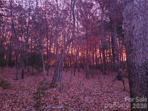 160 Winsome Forest Drive Nebo NC 28761