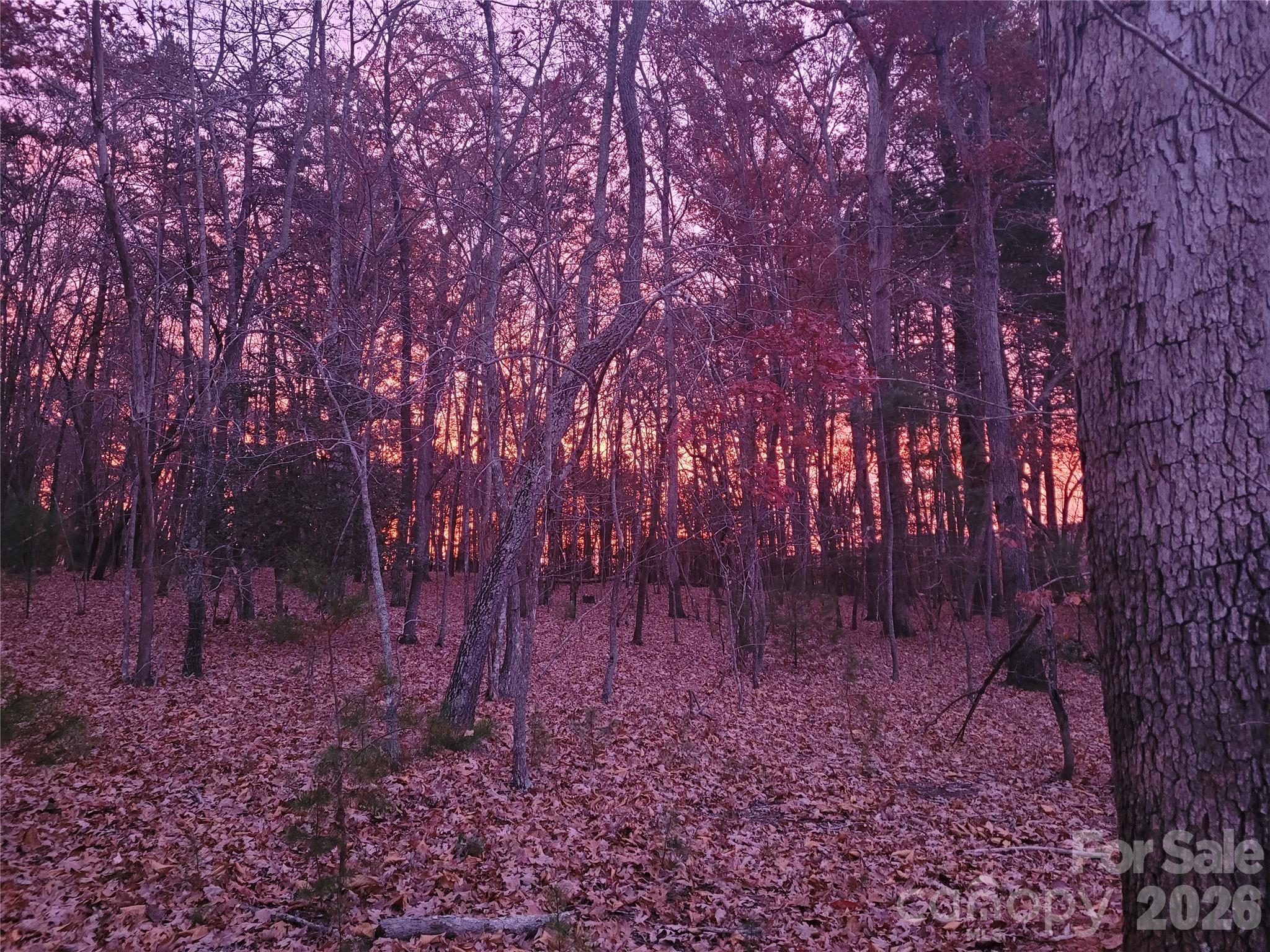 160 Winsome Forest Drive Nebo NC 28761