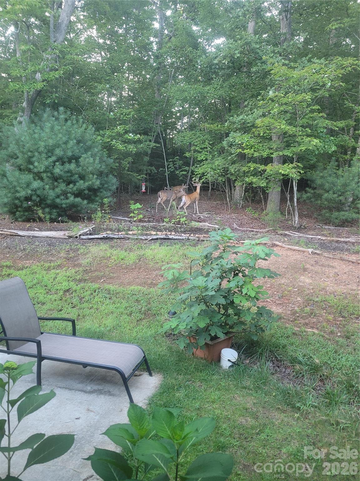 160 Winsome Forest Drive Nebo NC 28761