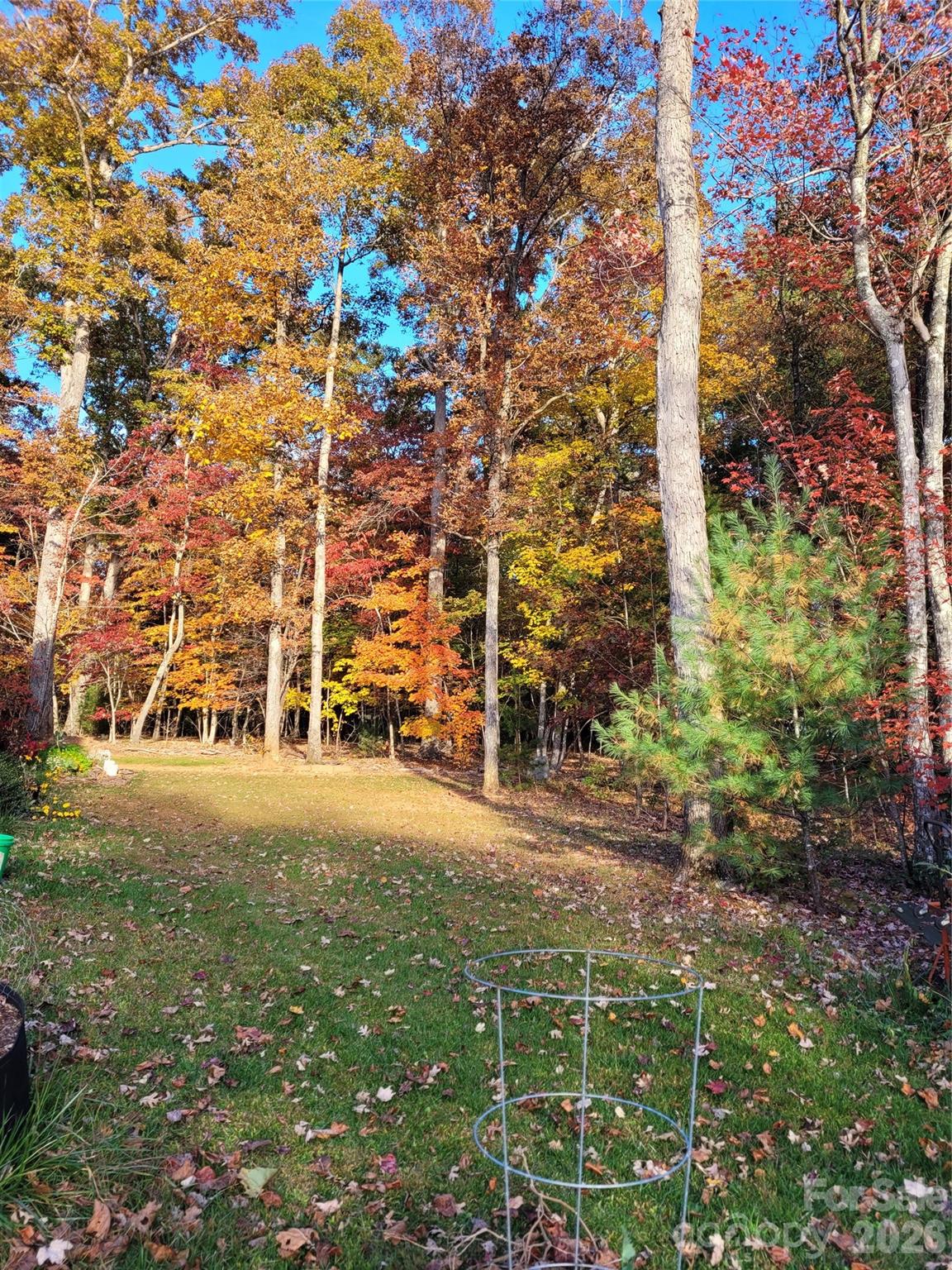 160 Winsome Forest Drive Nebo NC 28761