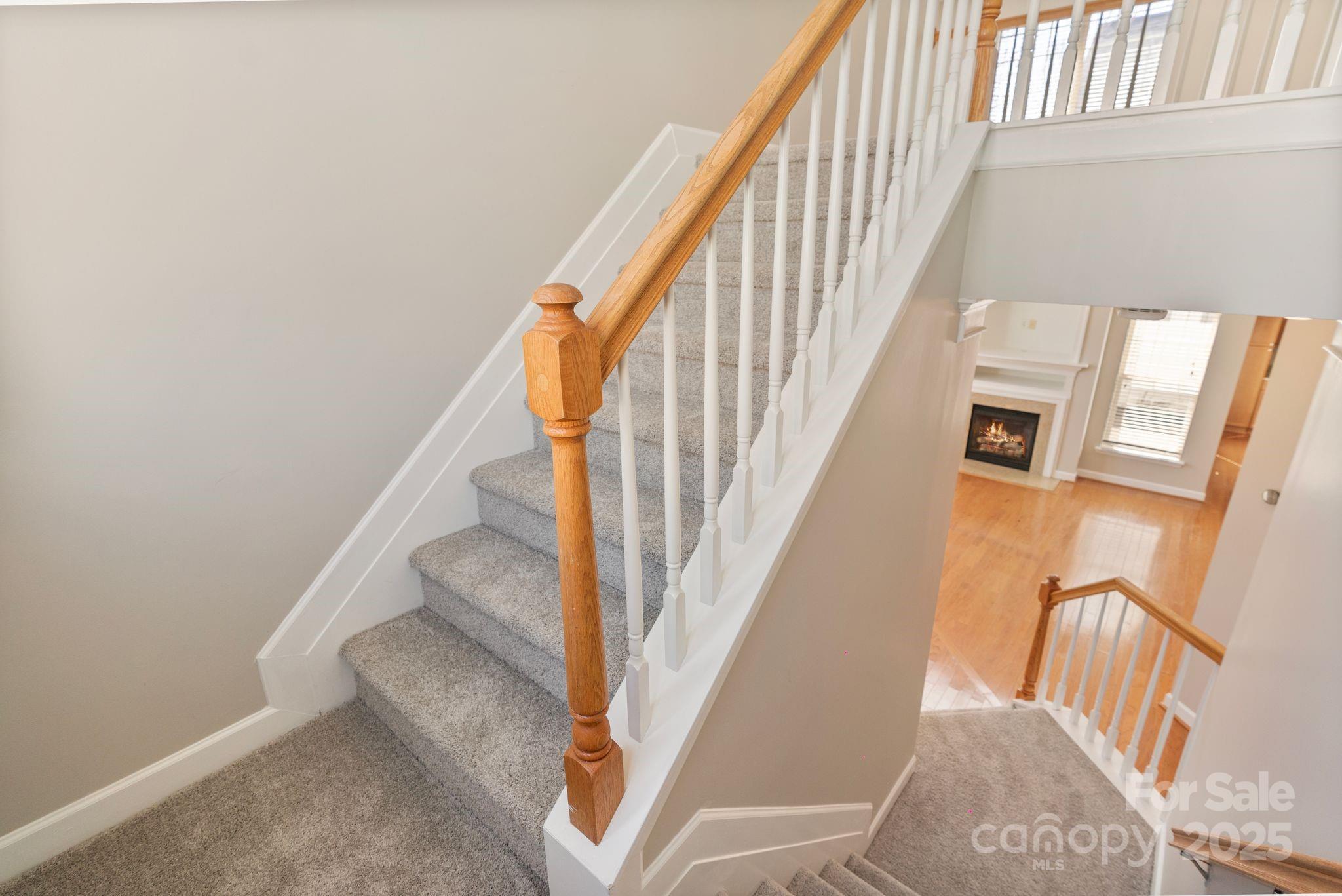3320 Tulip Tree Lane Charlotte NC 28273
