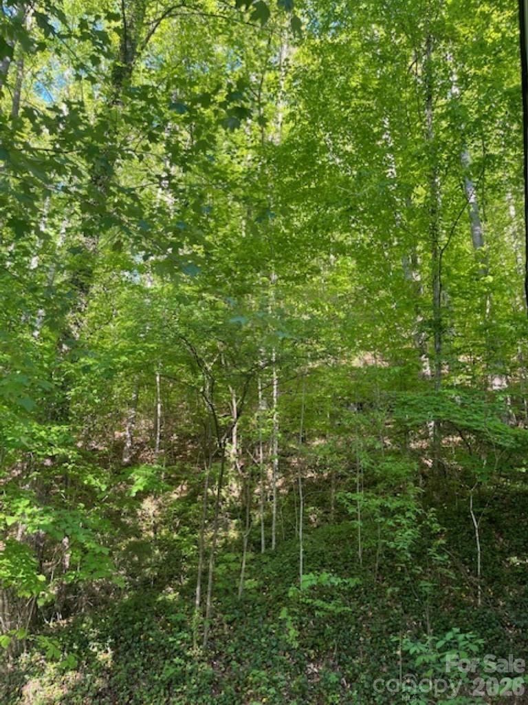 50 E Wabash Drive Sylva NC 28779