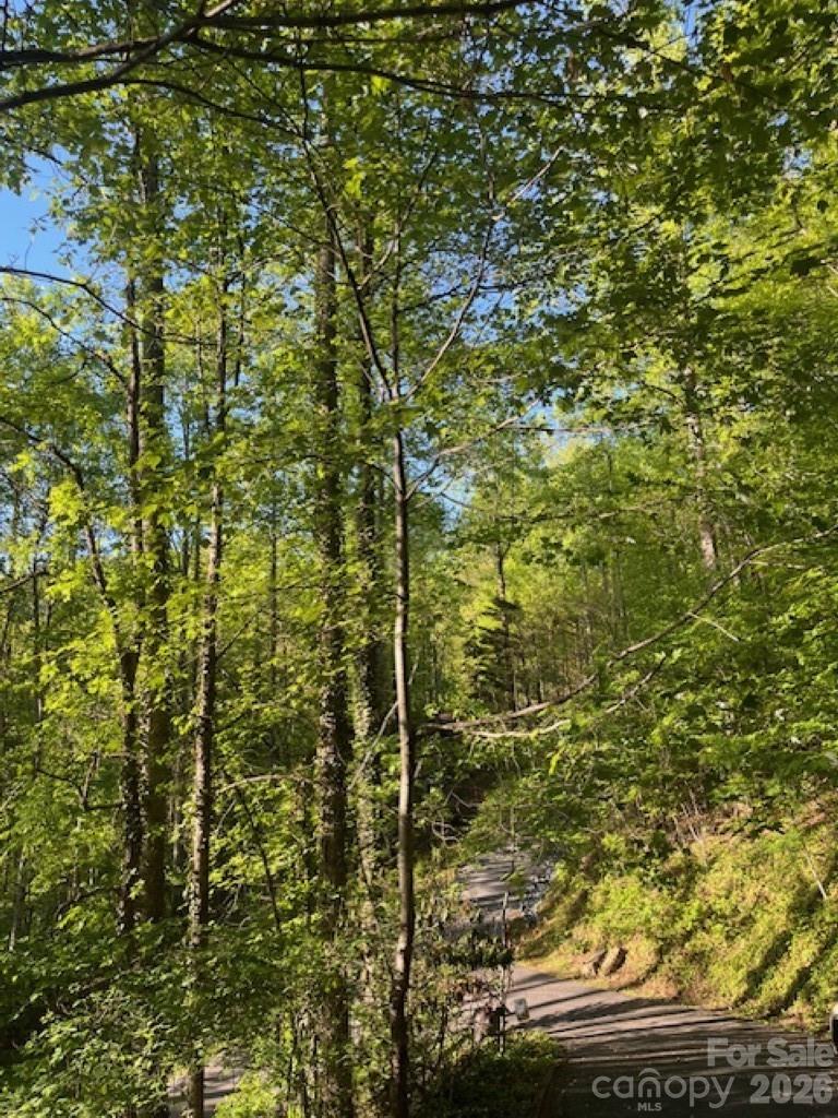 50 E Wabash Drive Sylva NC 28779