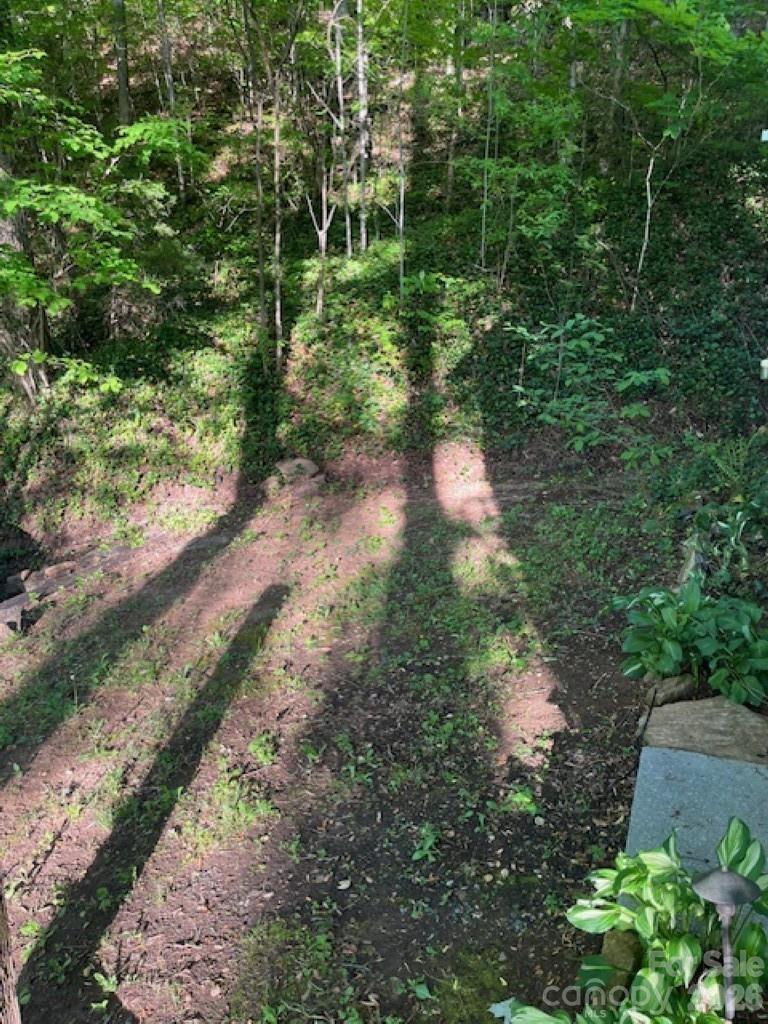 50 E Wabash Drive Sylva NC 28779