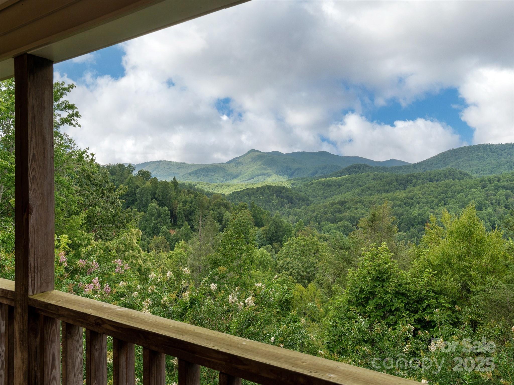 94 Marcellina Drive Fairview NC 28730