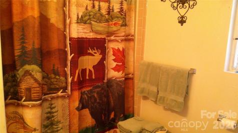 41 Shirdash Drive Maggie Valley NC 28751