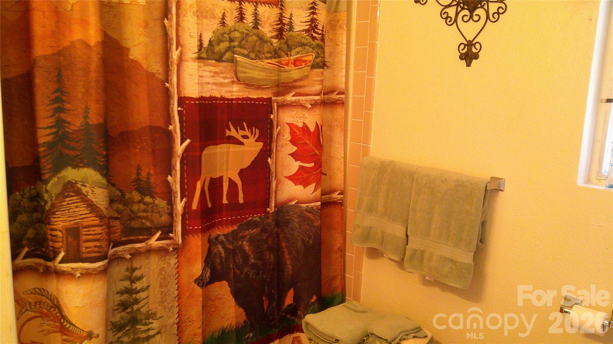 41 Shirdash Drive Maggie Valley NC 28751